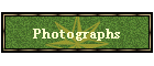 Photographs